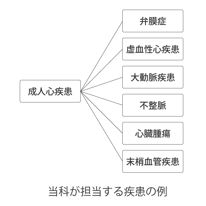 当科が担当する疾患の例|産業医科大学 医学部 心臓血管外科