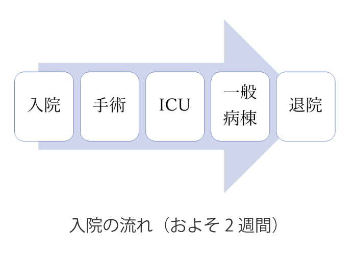 入院の流れ(およそ2週間)|産業医科大学 医学部 心臓血管外科